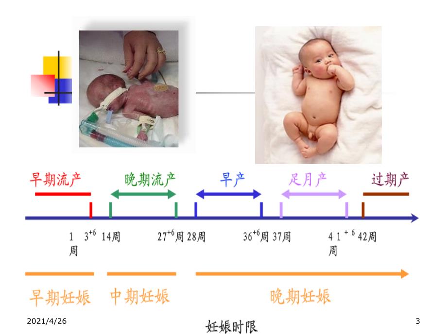 正常分娩(9版妇产科学课件)_第3页