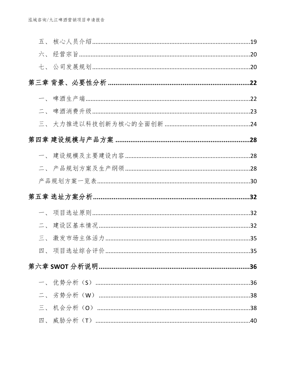 九江啤酒营销项目申请报告_模板范本_第2页
