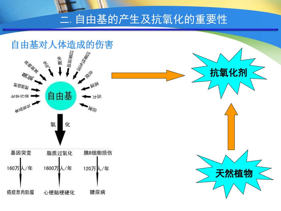 抗氧化活性研究方法_第4页