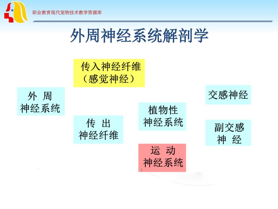 外周神经系统用药wk.课件_第2页