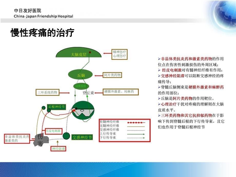 慢性疼痛药物治疗进展.ppt_第5页