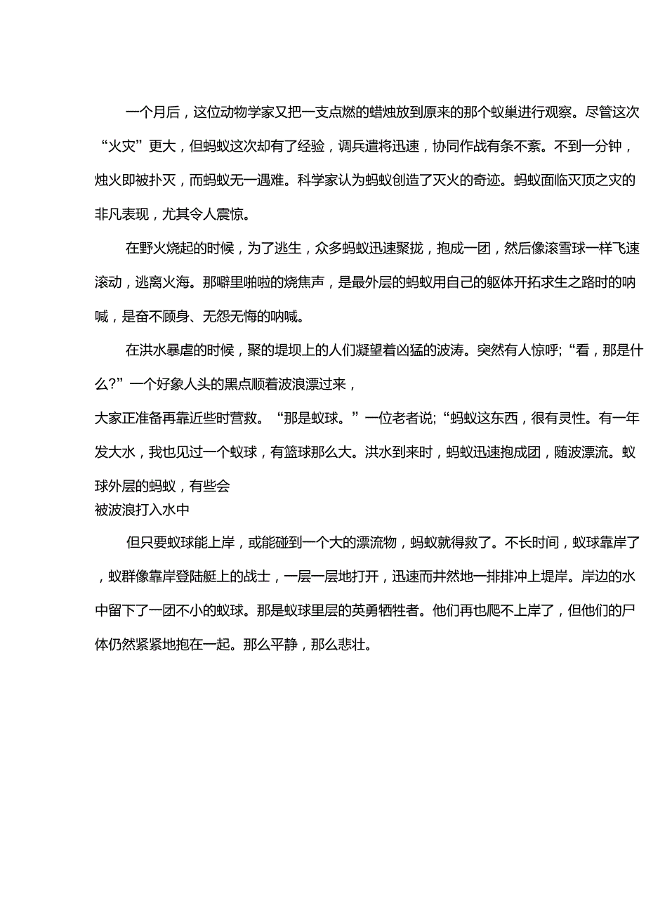 团队精神正能量小故事大全_第2页