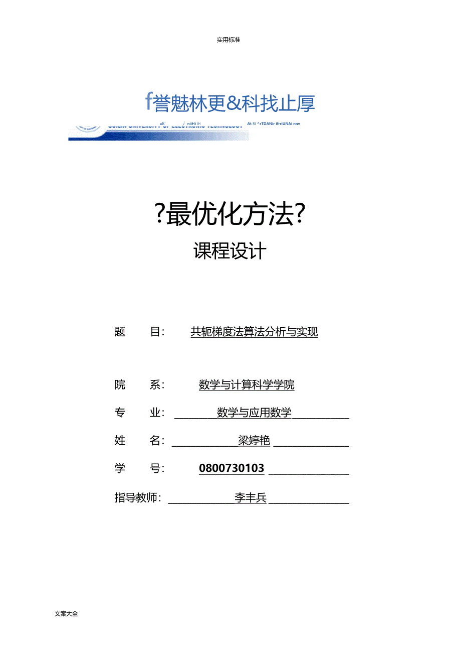 最优化方法课程设计参考模版_第1页