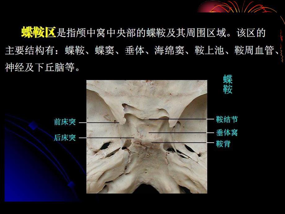 鞍区解剖PPT课件_第4页