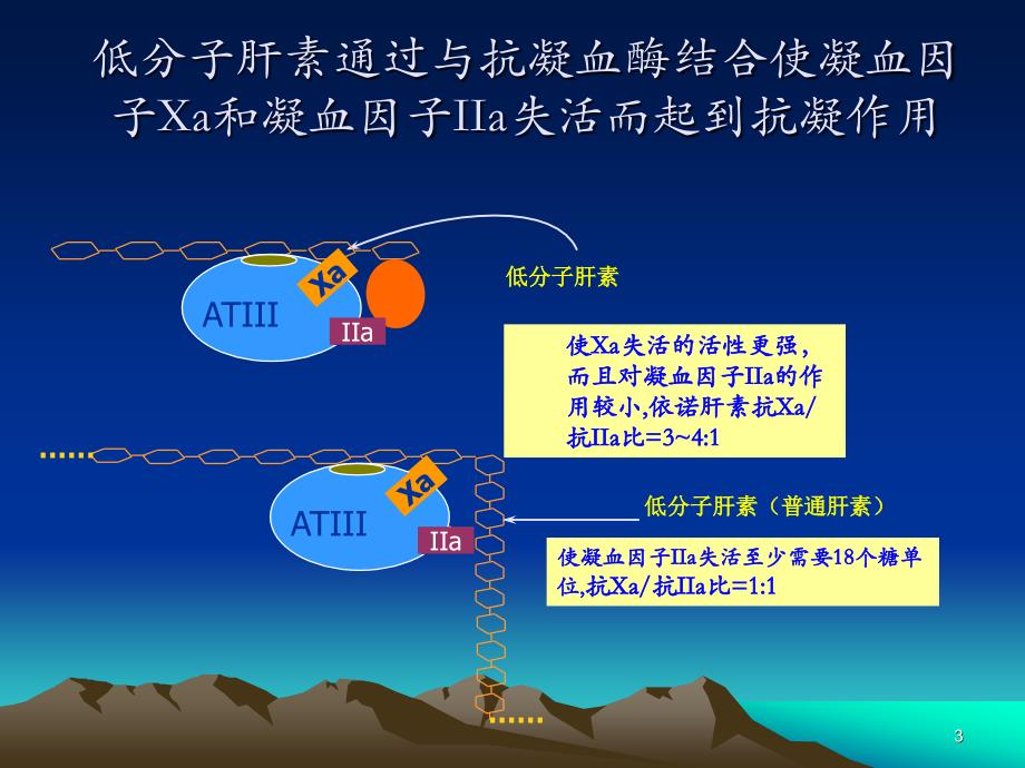 低分子肝素是不同介绍_第3页