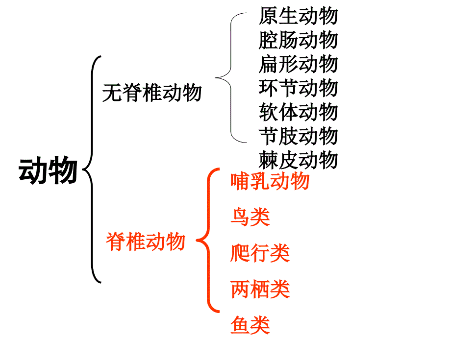 第五单元第一章第一节2_第3页