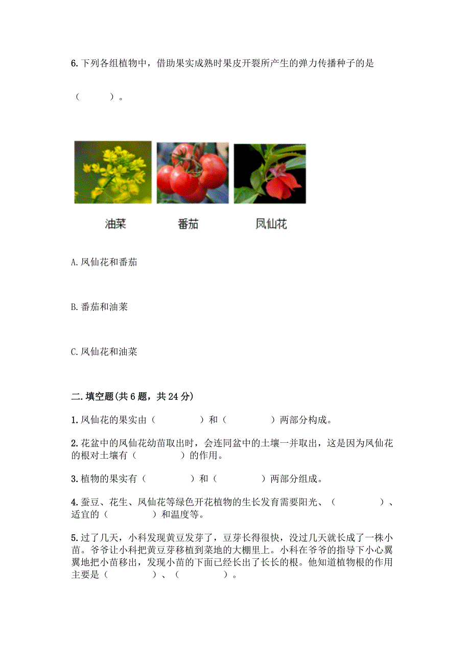 教科版科学四年级下册第一单元《植物的生长变化》测试卷附答案(突破训练).docx_第2页