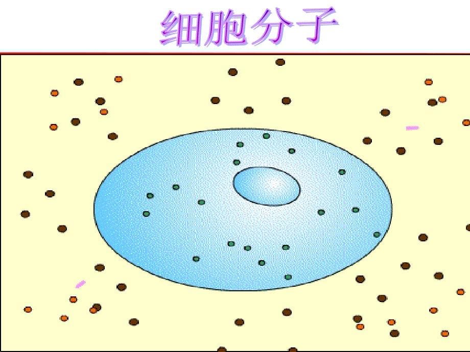 运动与静止课件_第5页