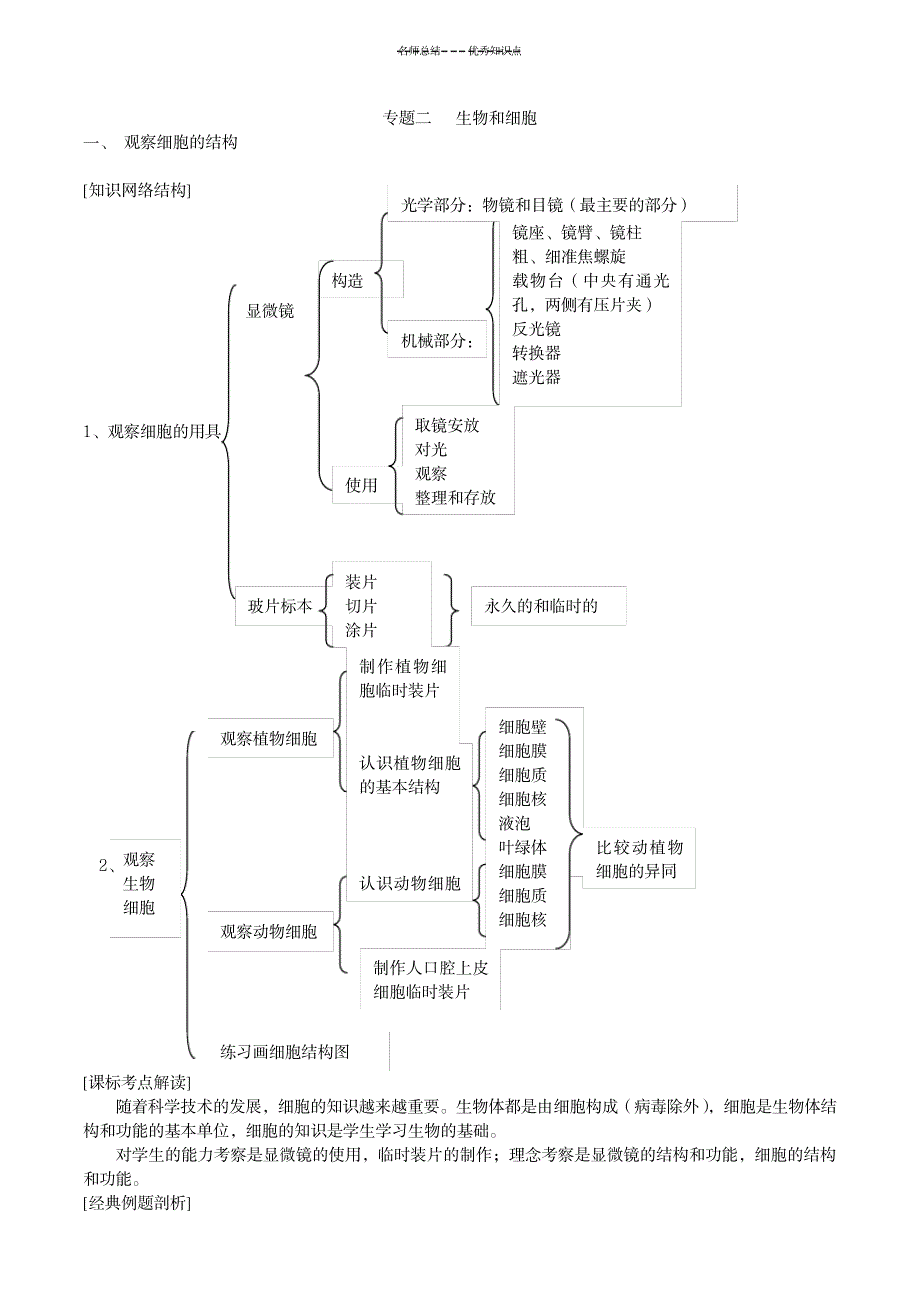 2023年初中生物---生物和细胞知识点总结归纳、习题、及超详细解析答案_第1页