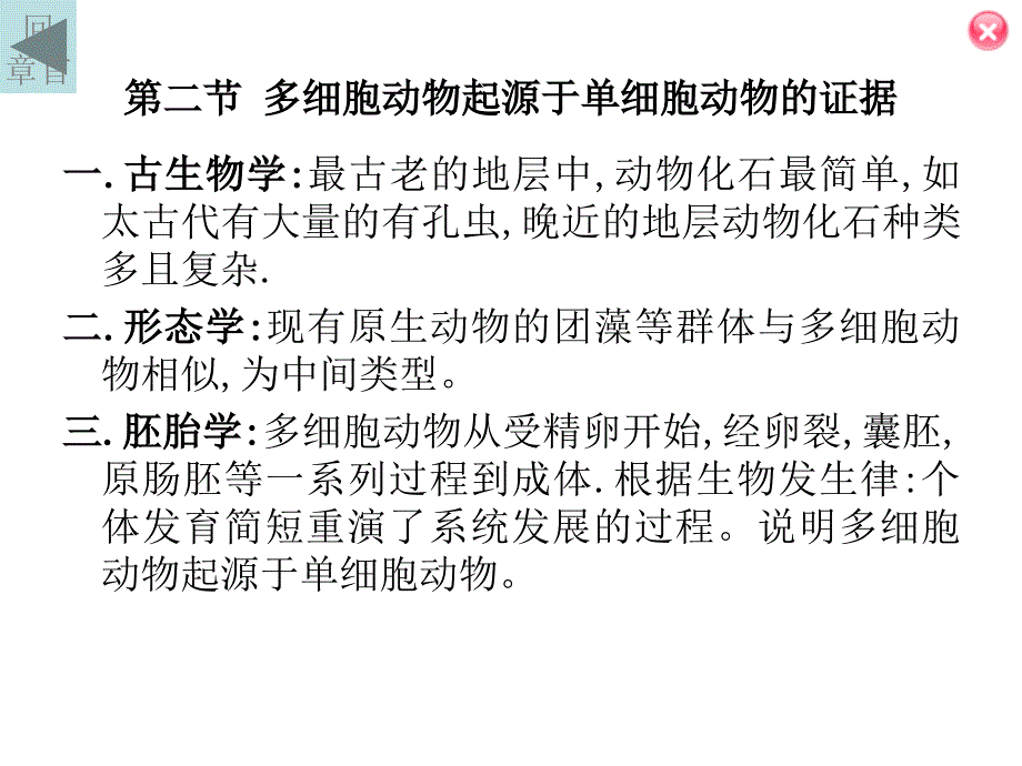 第四章多细胞动物的起源_第4页