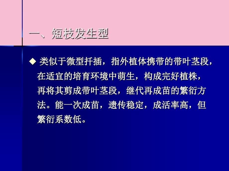 植物离体繁殖ppt课件_第5页