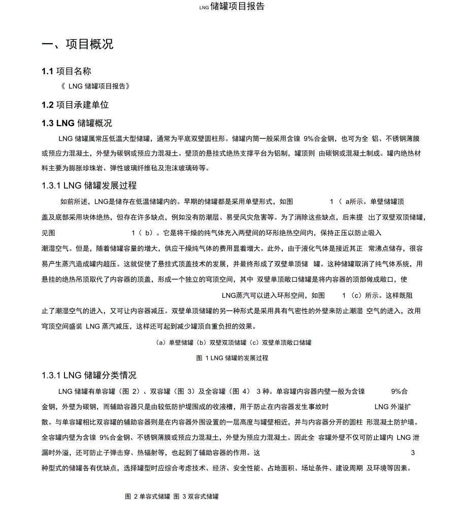 LNG储罐项目报告_第1页