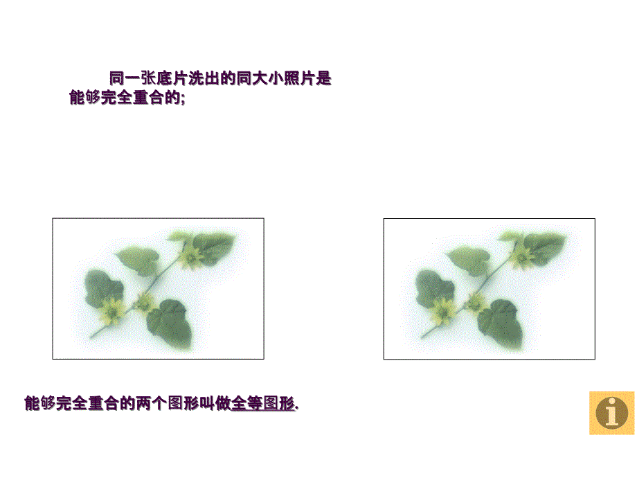 12.1全等三角形ppt课件_第3页