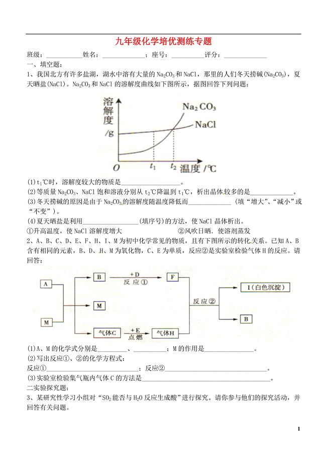 广东省梅州市梅江区实验中学九年级化学培优测练专题一无答案新人教版