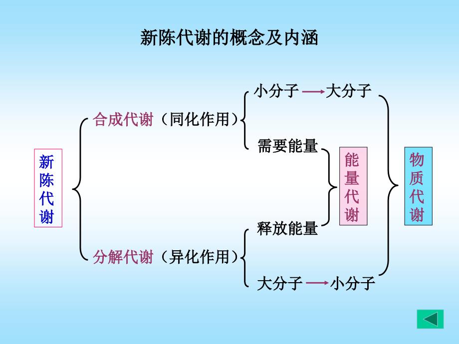 第五章糖类代谢_第4页