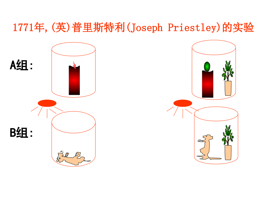 三节光合作用二光合作用的原理和应用_第3页