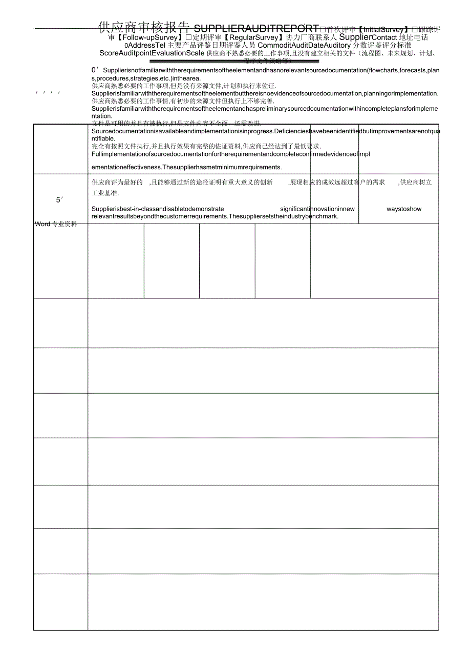 供应商审核报告_第1页
