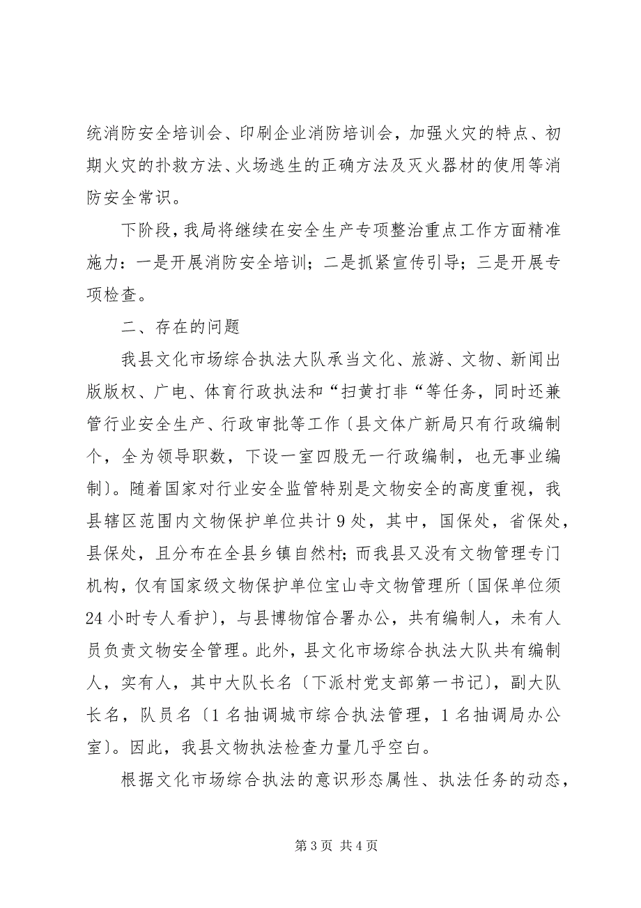 2023年文化市场综合执法大队安全生产专项整治重点工作情况汇报.docx_第3页