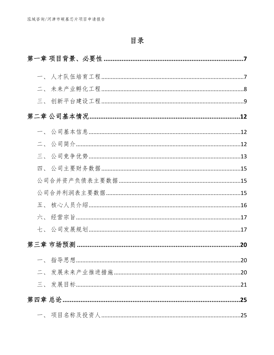 河津市碳基芯片项目申请报告_参考模板_第1页