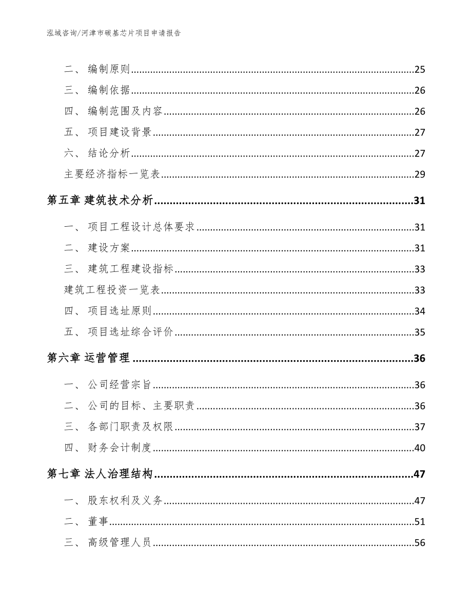 河津市碳基芯片项目申请报告_参考模板_第2页