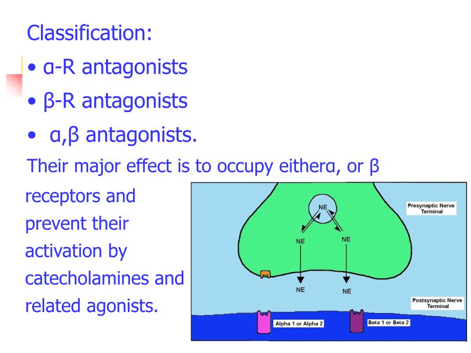 药理学英文版教学课件：Chapter 8 Adrenoceptor Antagonist_第3页