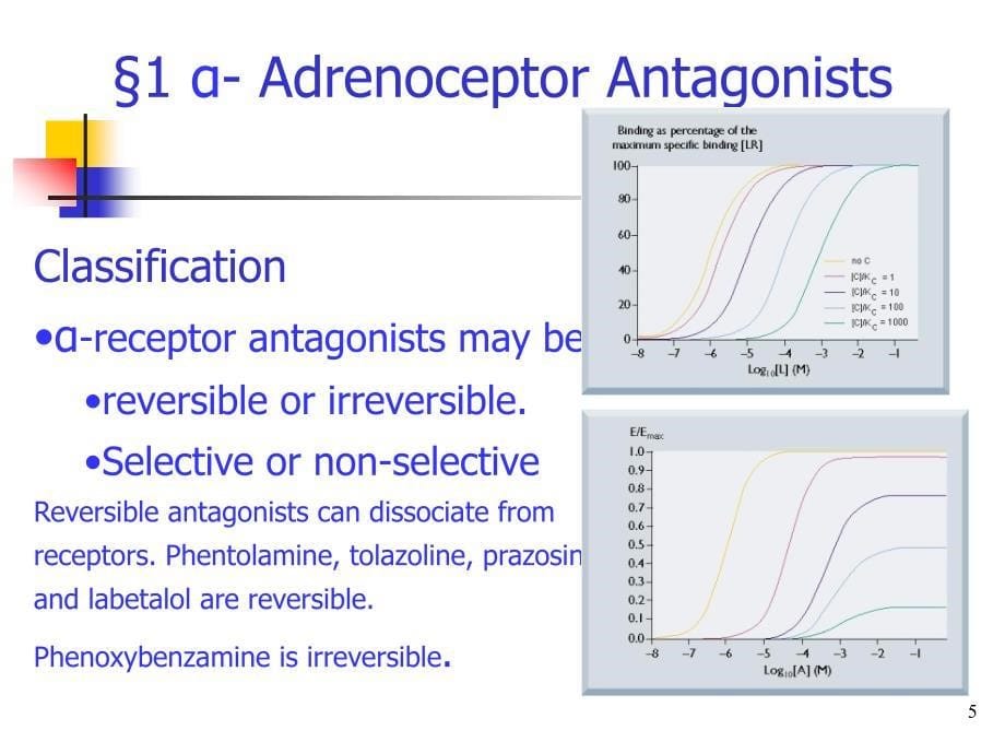 药理学英文版教学课件：Chapter 8 Adrenoceptor Antagonist_第5页