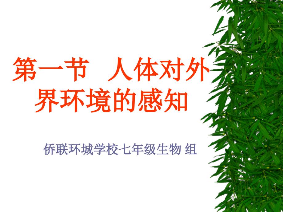 第一节人体对外界环境的感知_第1页