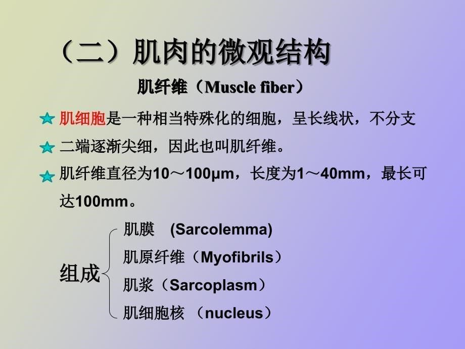 肉的组织结构_第5页