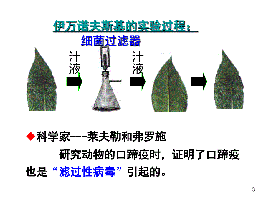 人教版初中生物八年级上册病毒课堂PPT_第3页