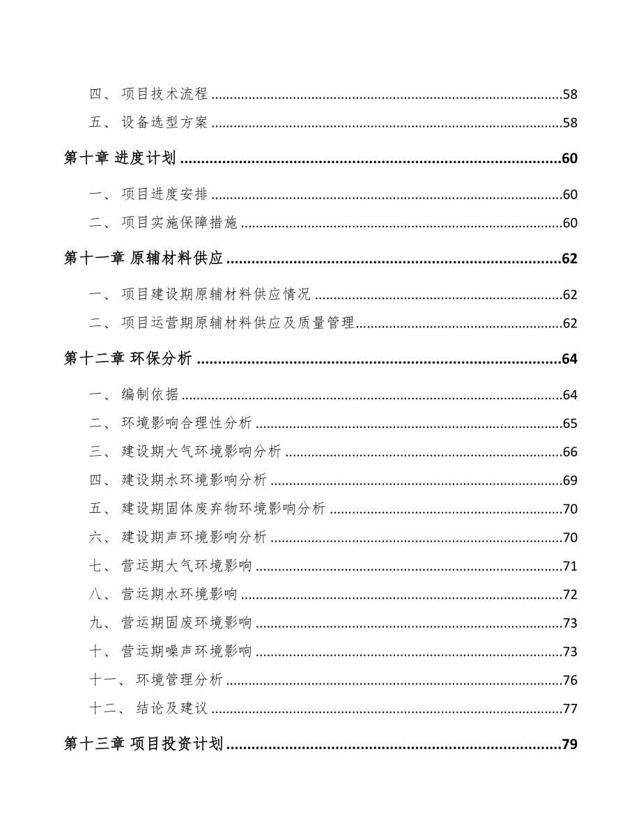 北京化油器项目可行性研究报告模板范本(DOC 98页)_第5页