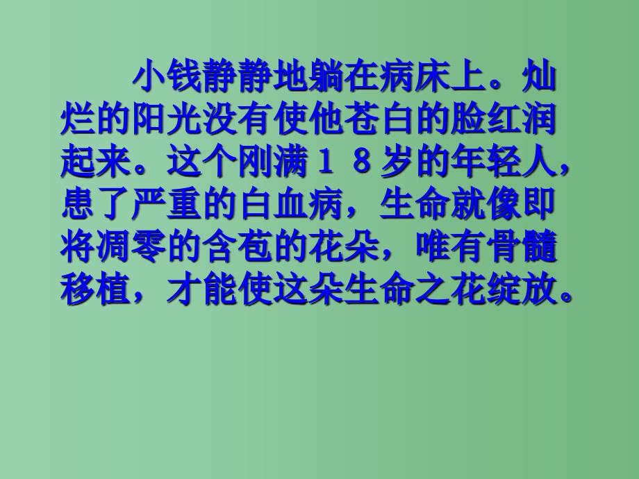 四年级语文上册 22.跨越海峡的生命桥课件 新人教版_第4页