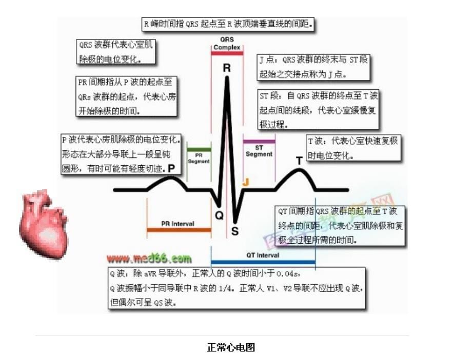 hk19第十六章 心血管系统药物_第5页