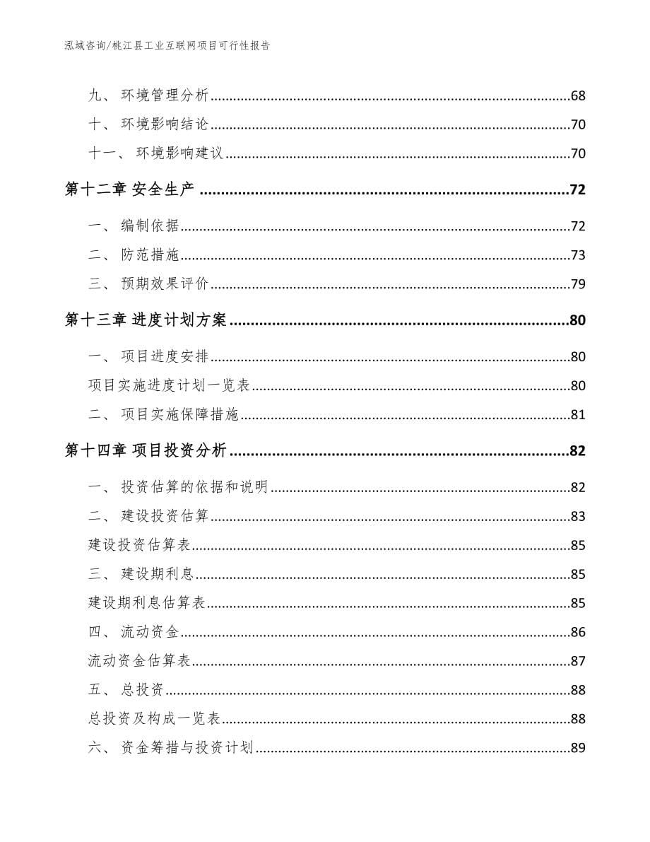 桃江县工业互联网项目可行性报告_第5页