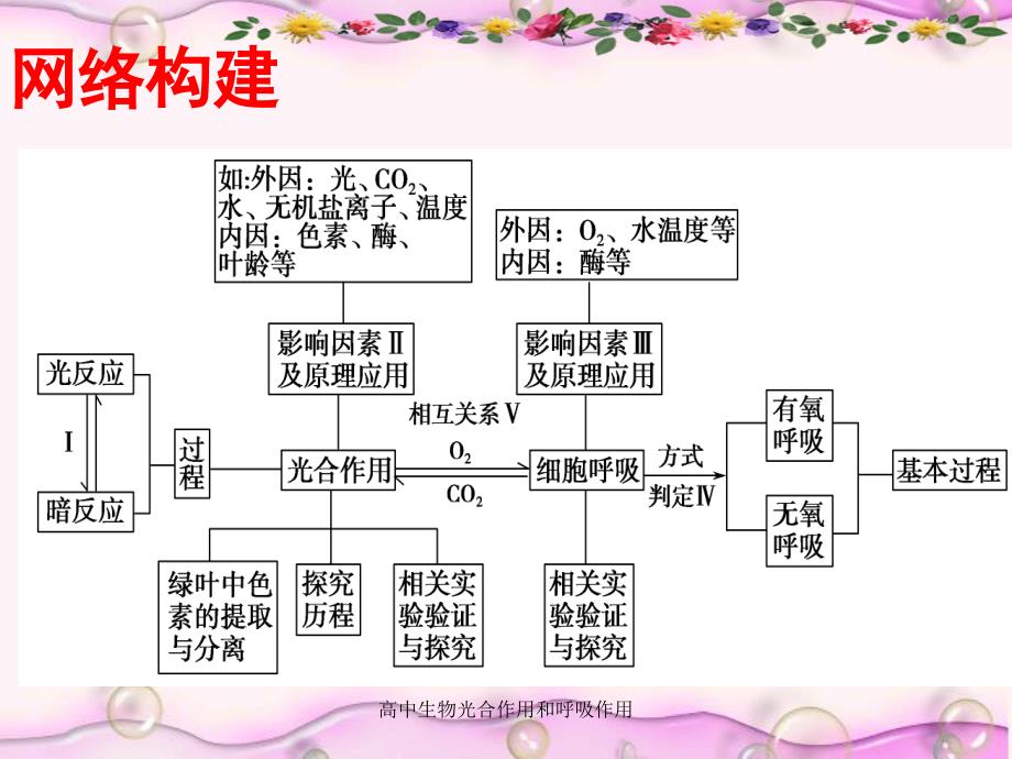 高中生物光合作用和呼吸作用课件_第2页