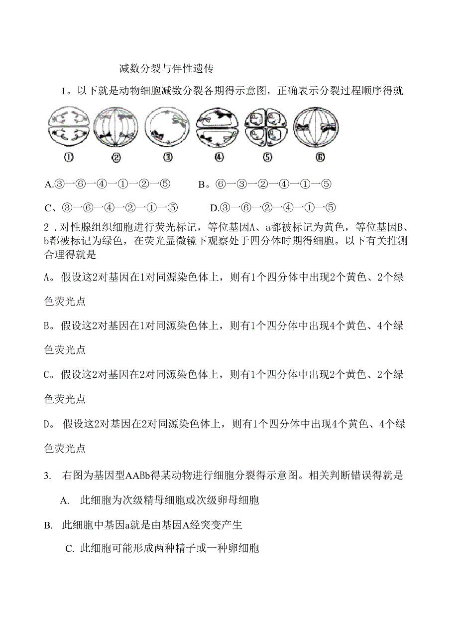 减数分裂和伴性遗传习题集_第1页