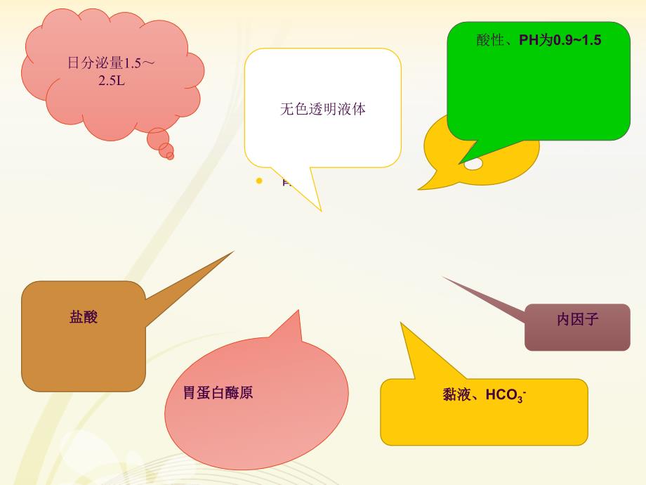 生理学胃内消化ppt课件_第4页