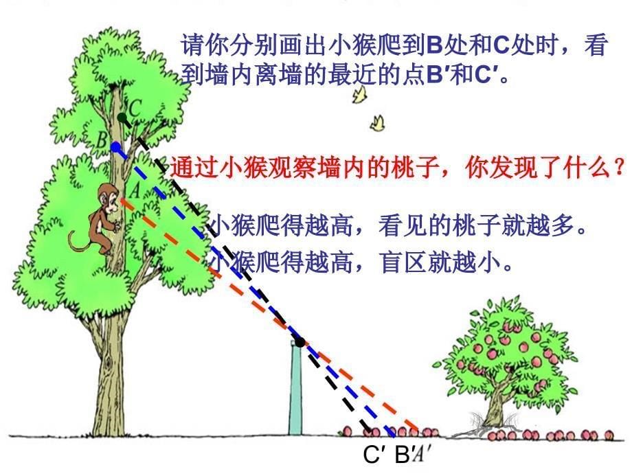 新北师大版小学数学六年级《观察的范围》资料课件_第5页