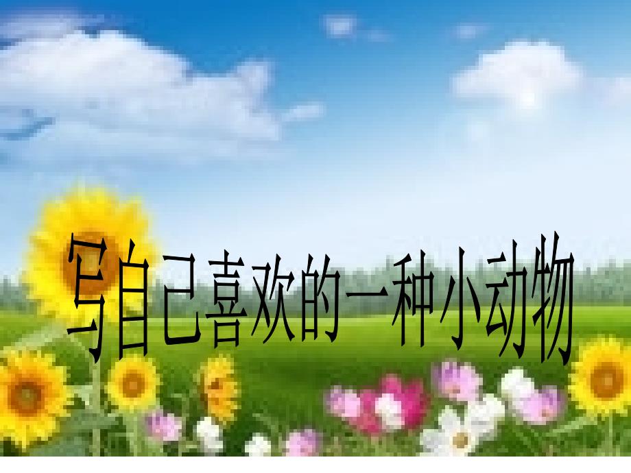 最新小学四年级作文写自己喜欢的一种小动物._第1页