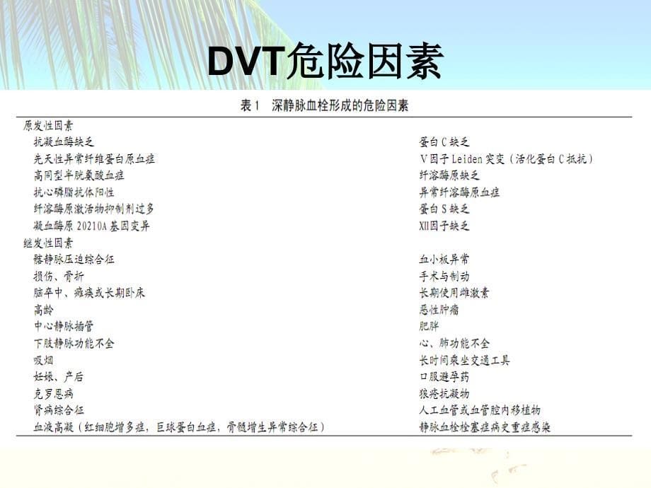 下肢深静脉血栓形成ppt课件_第5页