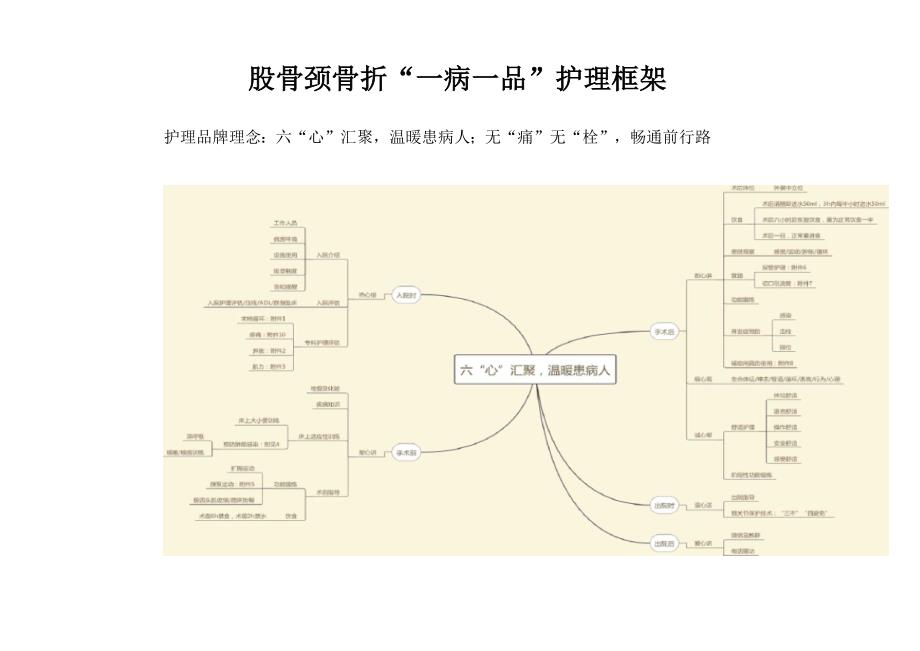 股骨颈骨折一病一品_第1页