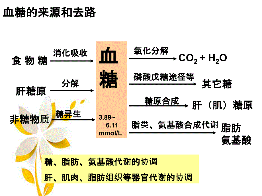 生化糖尿病知识_第4页