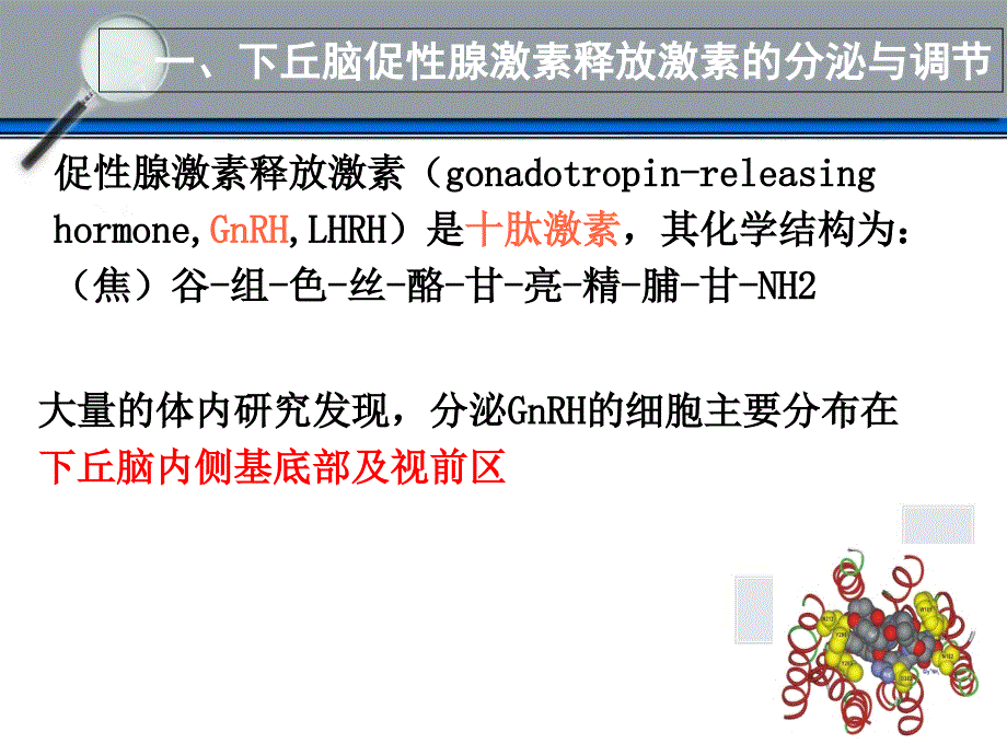 下丘脑垂体性腺轴与生殖调节_第4页