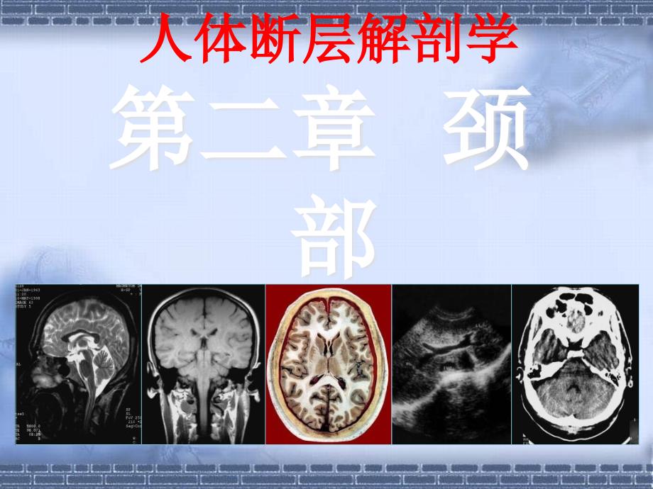 颈部断层解剖第一节概述最终_第2页