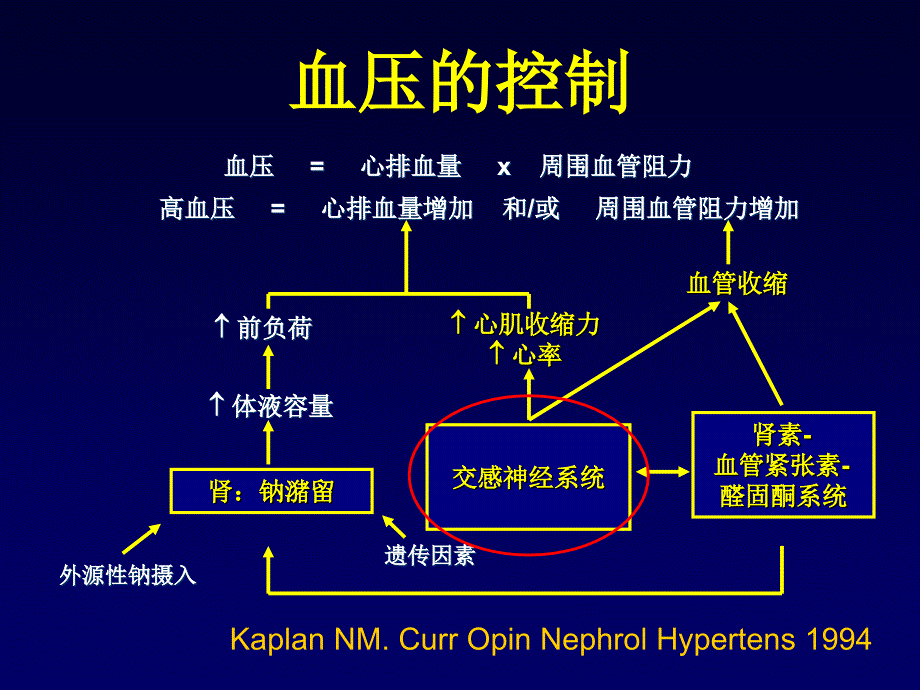 β受体阻滞剂在高血压治疗中的意义_第2页