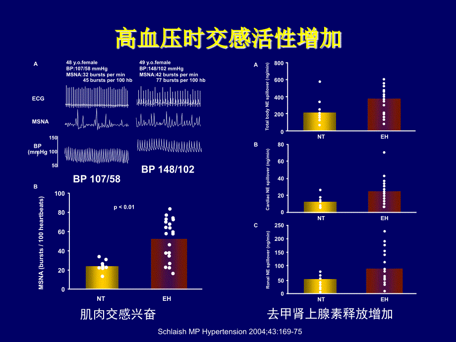 β受体阻滞剂在高血压治疗中的意义_第3页