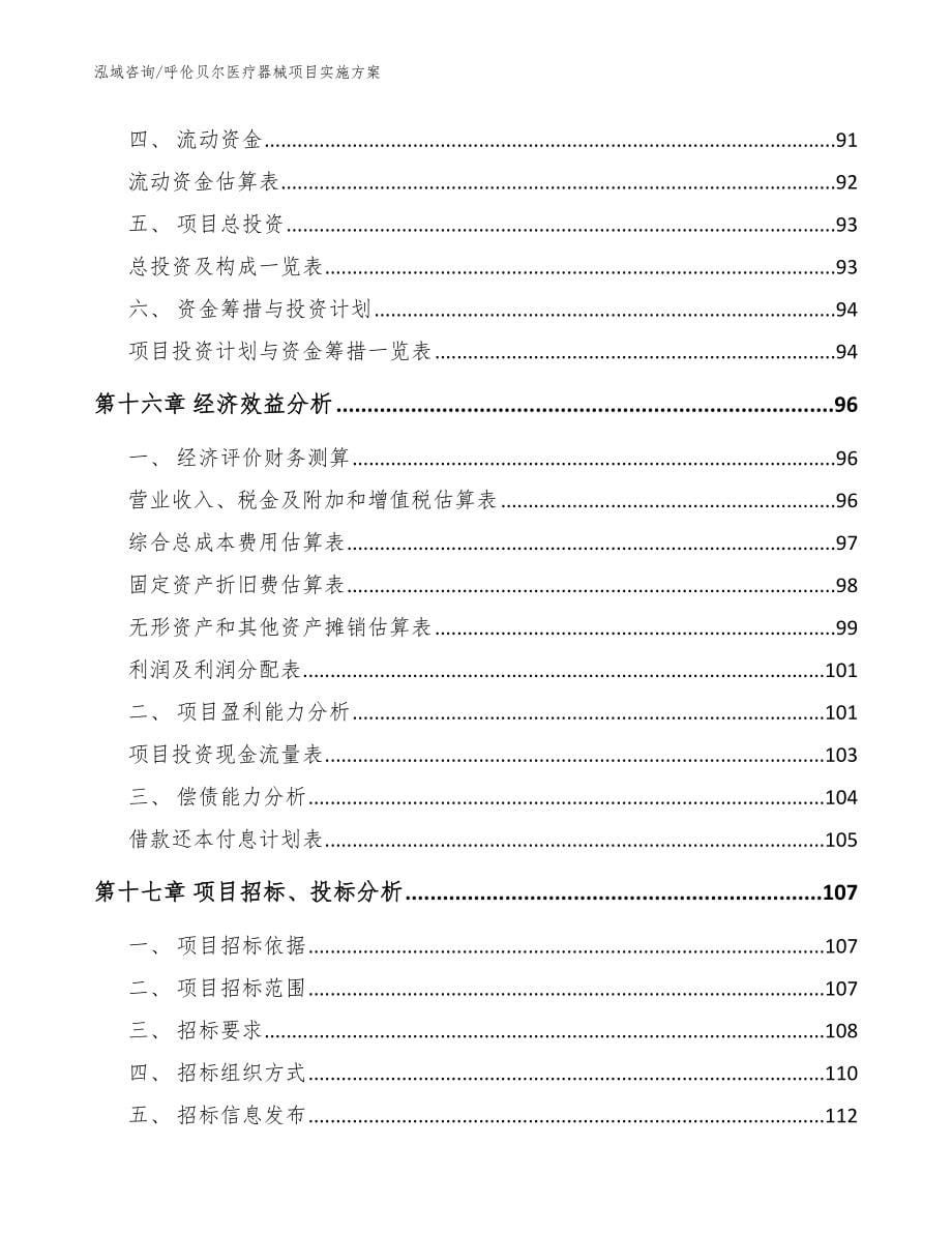 呼伦贝尔医疗器械项目实施方案（模板范文）_第5页