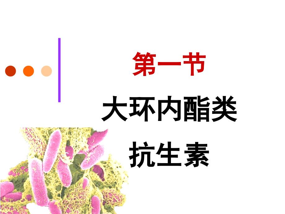 yl40大环内酯类抗生素_第4页