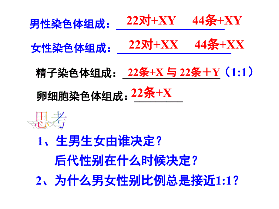 第三节伴性遗传_第3页