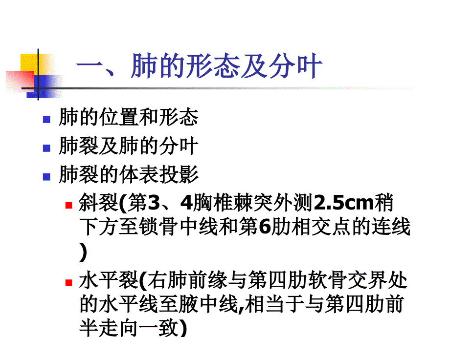 肺应用解剖PPT课件_第2页