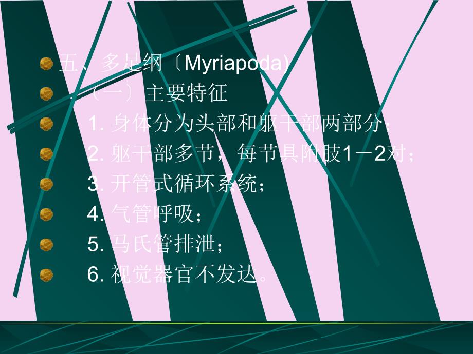 11多足纲与昆虫纲ppt课件_第1页